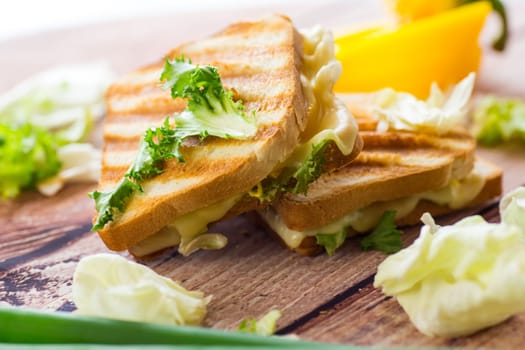 fried toasts with filling, salad leaves, tomatoes .