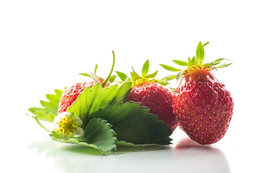 red ripe strawberry spring on a white background .