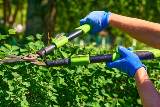 Garden shears for trimming branches, cutting cuttings, etc