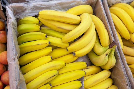 Assortment of fresh banana fruits at market