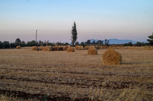 field with haystacks at sunset 3