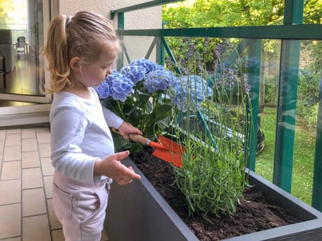 Girl plants flowers on the balcony of the apartment