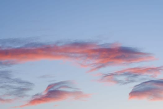 Colorful cirrus clouds are illuminated by the red rays of the setting sun. High quality photo