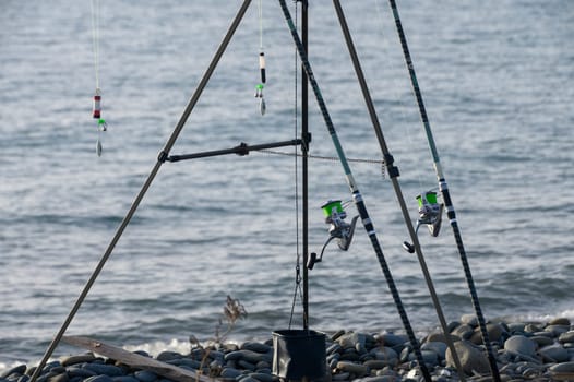 fisherman catches fish on the seashore