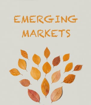 A book cover with a leafy design and the words Emerging Markets written in orange