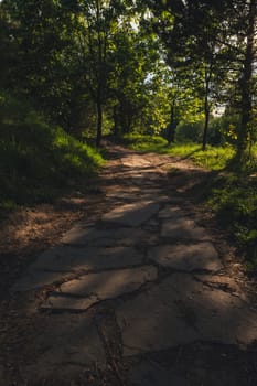 The path in the sunny park. High quality photo