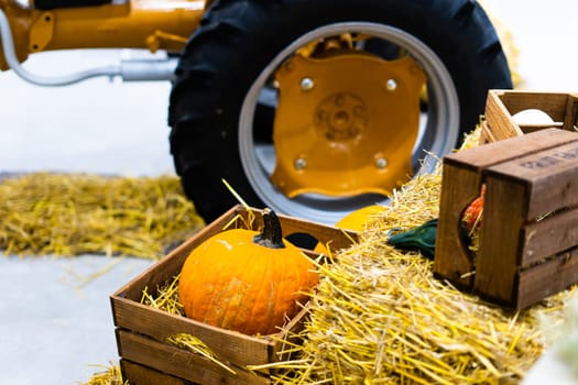 Ripe orange autumn pumpkins in wooden baskets with straw, hay bales farmers market for Halloween.