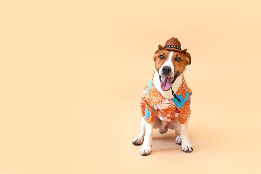 Cute and funny dog of the Jack Russell terrier breed in a cowboy hat and Hawaiian shirt on a sand-colored background. Travel preparation and planning. Close-up, indoors. Studio shot. Concept of recreation, travel and tourism. Pets care