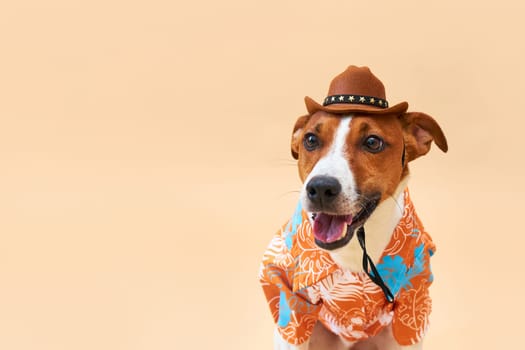 Cute and funny dog of the Jack Russell terrier breed in a cowboy hat and Hawaiian shirt on a sand-colored background. Travel preparation and planning. close-up portrait. Concept of recreation, travel and tourism. Pets care