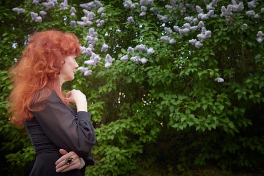 Elegant senior mature Woman in Black Dress by Blooming Lilac Bush at Dusk. Woman with red hair stands poised among lilac blooms