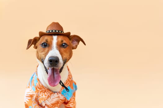 Cute and funny dog of the Jack Russell terrier breed in a cowboy hat and Hawaiian shirt on a sand-colored background. Travel preparation and planning. close-up portrait. Concept of recreation, travel and tourism. Pets care