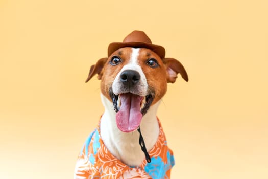 Cute and funny dog of the Jack Russell terrier breed in a cowboy hat and Hawaiian shirt on a sand-colored background. Travel preparation and planning. close-up portrait. Concept of recreation, travel and tourism. Pets care