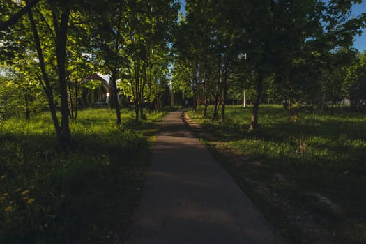 The path in the sunny park. High quality photo