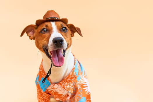 Cute and funny dog of the Jack Russell terrier breed in a cowboy hat and Hawaiian shirt on a sand-colored background. Travel preparation and planning. close-up portrait. Concept of recreation, travel and tourism. Pets care