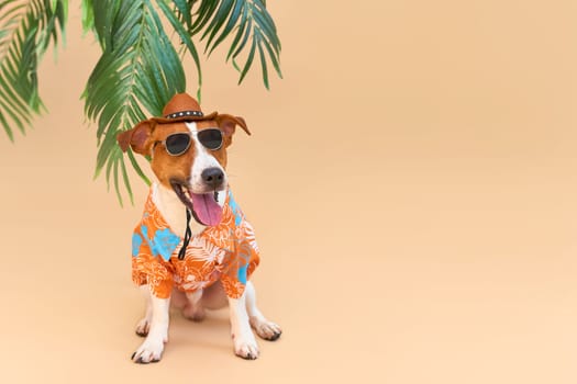 Cool smiling cute Dog Jack Russell Terrier in a Hawaiian shirt, hat and sunglasses on the beach under a palm tree. Summer holiday and travel concept, background, pet care