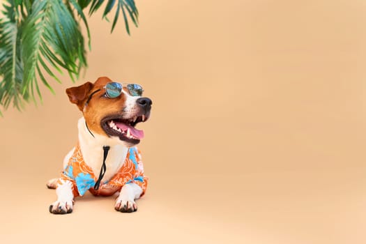 Cool smiling cute Dog Jack Russell Terrier in a Hawaiian shirt, hat and sunglasses on the beach under a palm tree. Summer holiday and travel concept, background, pet care