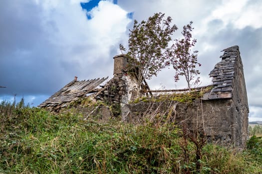 Derelict house in the forest at Letterilly by Glenties, County Donegal, Ireland.