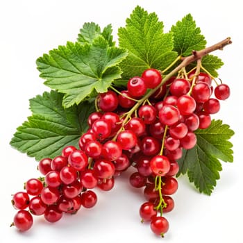 Red currant bunch with green leaves. Redcurrant pile, ripe red currant berries group on white background. Ai generated image