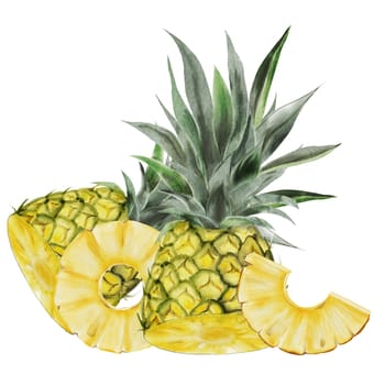 Pineapple watercolor composition. Tropical fruit on isolated white background. Food exotic illustration for menu design, tags and cosmetics packaging. High quality illustration