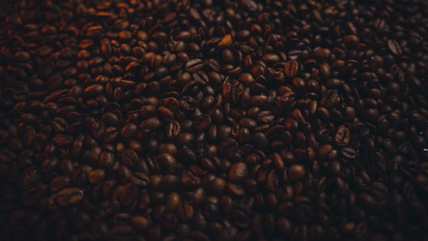 Colorful background with coffee beans in close-up. High quality photo