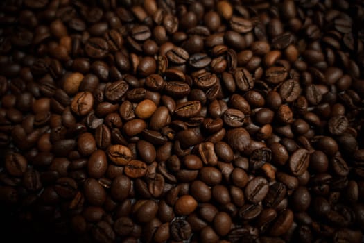 Colorful background with coffee beans in close-up. High quality photo