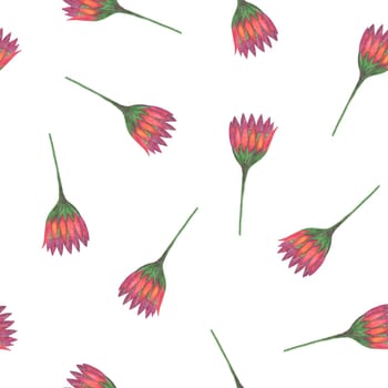 Chrysanthemum Flower Seamless Pattern. Hand Drawn Floral Digital Paper on White Background.