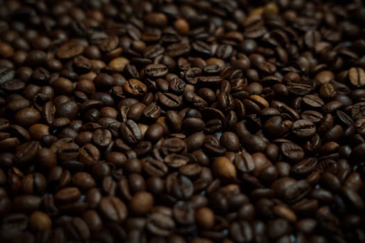 Colorful background with coffee beans in close-up. High quality photo