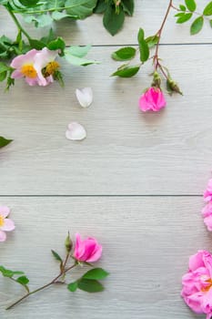 light wooden background with bright pink roses .