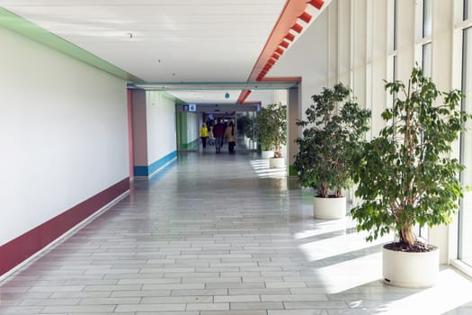 Long bright hall corridor with large windows and green plants in Herlev hospital. Copenhagen, Denmark - April 1, 2024.