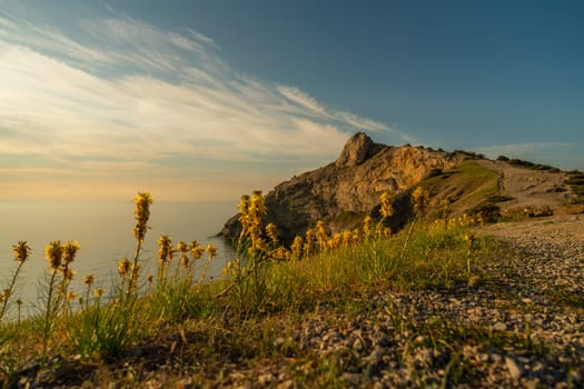 A rocky hillside with a beautiful view of the ocean and a few yellow flowers. The sky is clear and the sun is setting, creating a serene and peaceful atmosphere