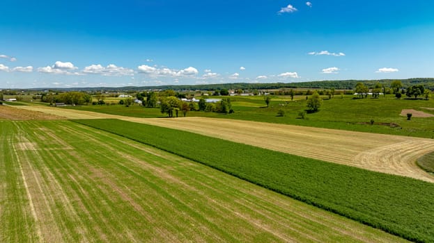 A striking aerial photograph capturing a tapestry of agricultural fields, each with different textures and shades of green and gold, under a sky with scattered clouds, providing a broad view of rural farming life.