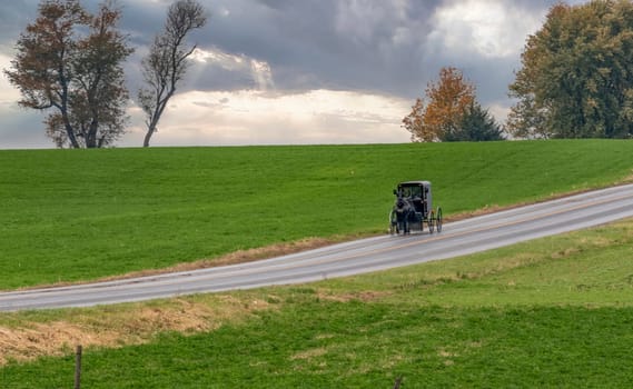 View of an Amish Horse and Buggy Approaching Down a Rural Countryside Road on a Sunny Autumn Day