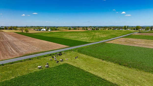 A vivid aerial photograph capturing an expansive view of mixed-use farmland, featuring a grazing herd of cattle, rich green and brown fields, under a sky scattered with clouds.