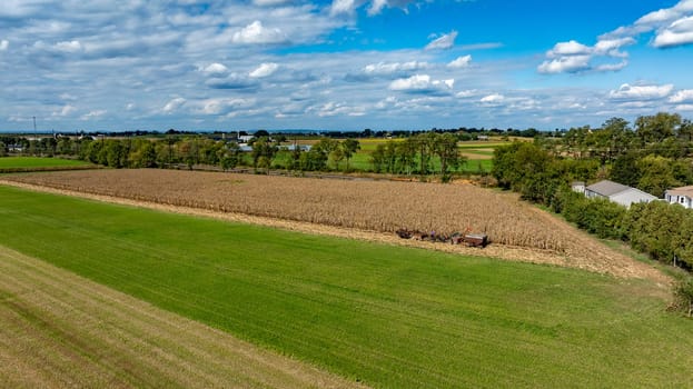 An Aerial View of Cornfield and Green Pastures in Rural Landscape