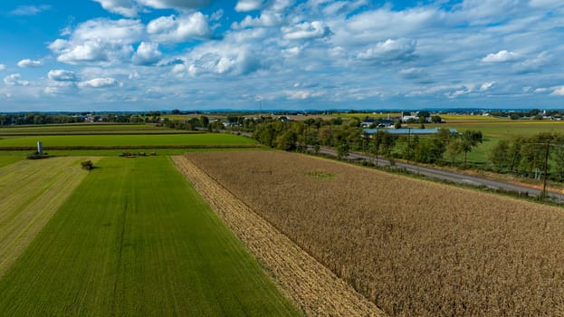 A Cornfield and Green Pastures under Blue Sky with Clouds