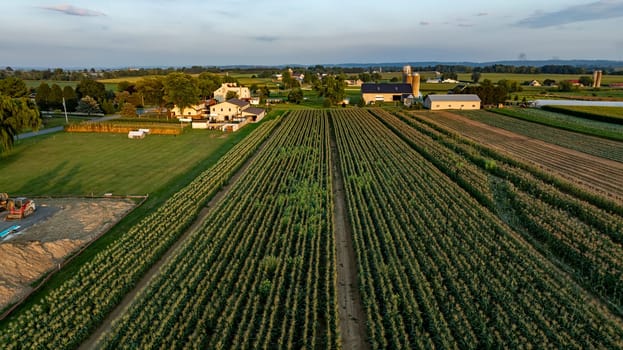 An Aerial View of Sunset Over Farmland and Rural Homes