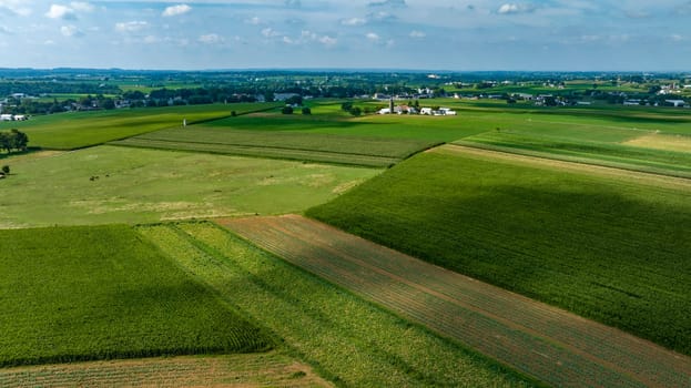 An Expansive Farmland with Rows of Crops and Barns