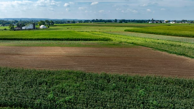 An Expansive Farmland with Rows of Crops and Barns