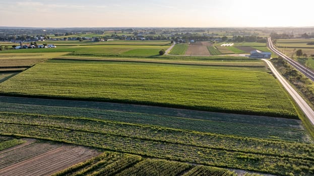 An Aerial View of Expansive Farmland at Sunset