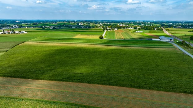 An Expansive Farmland with Rows of Crops and Barns