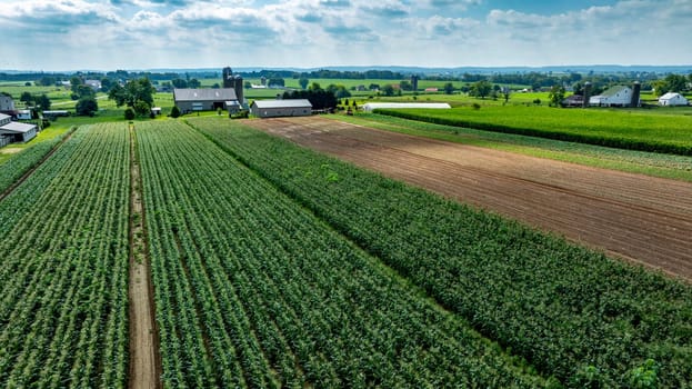 An Aerial View of Lush Farmland with Crops and Barns