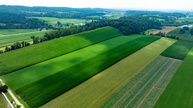 An Aerial View of Lush Farmlands and Rolling Countryside