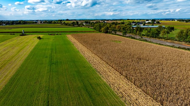 An Aerial View of Cornfield and Green Pastures in Countryside