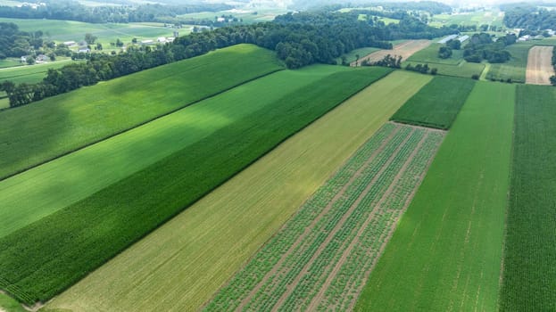 An Aerial View of Vibrant Farmlands and Rolling Hills