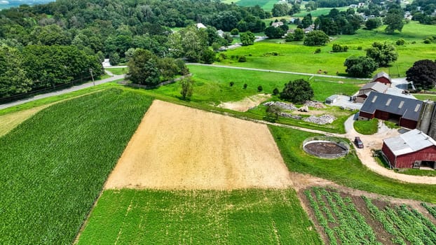 An Aerial View of a Farm with Green Fields and Crops