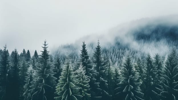 Snow-laden pine trees stand tall against a misty backdrop, with the dawn light barely breaking through the dense winter fog - Generative AI