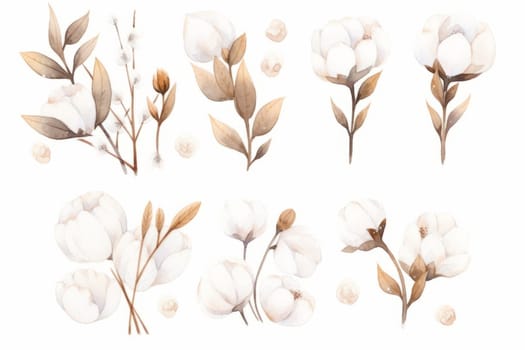 Cotton flowers hand drawn watercolor illustration