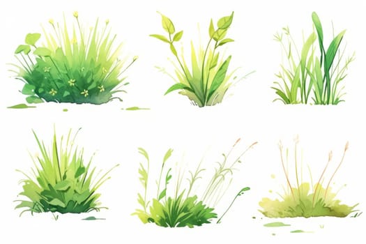 Set of green and gold grass and stem hand painted watercolor illustration