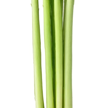 Fresh lemongrass stalks pale green color fibrous texture slender shape Food and culinary concept. Food isolated on transparent background.