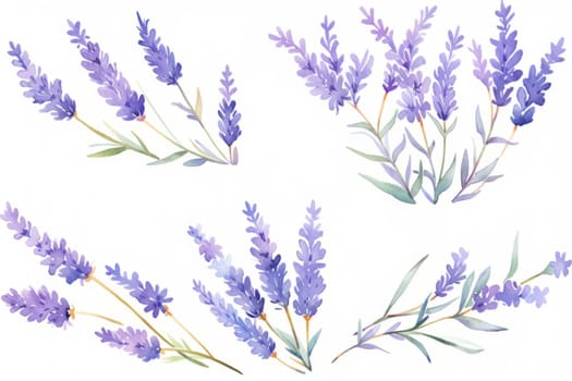 Lavender flower hand painted watercolor illustration